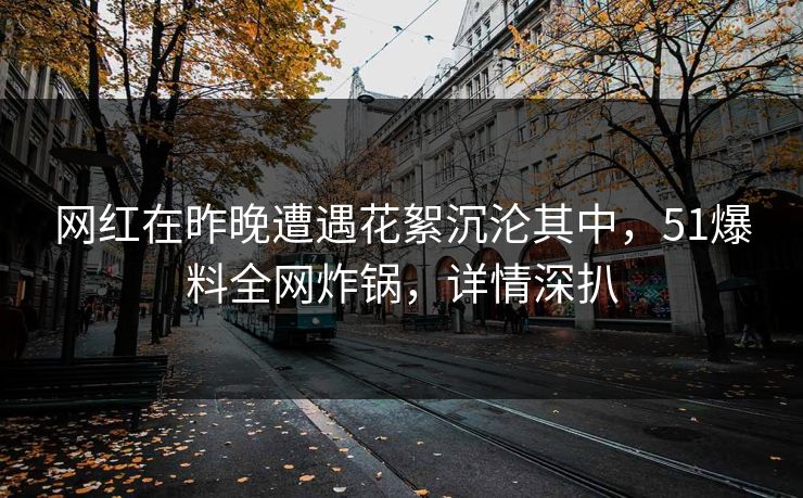 网红在昨晚遭遇花絮沉沦其中，51爆料全网炸锅，详情深扒