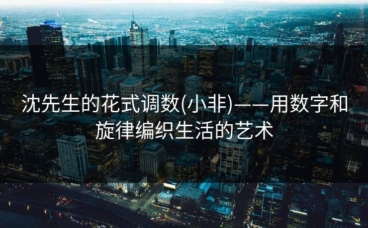 沈先生的花式调数(小非)——用数字和旋律编织生活的艺术