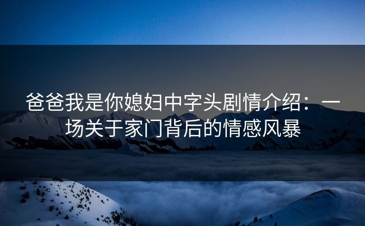 爸爸我是你媳妇中字头剧情介绍：一场关于家门背后的情感风暴