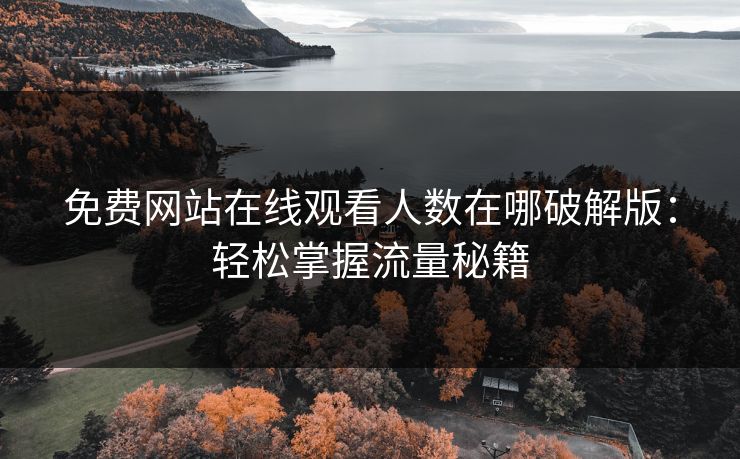 免费网站在线观看人数在哪破解版：轻松掌握流量秘籍