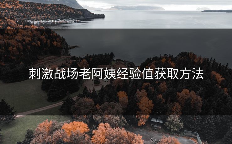刺激战场老阿姨经验值获取方法