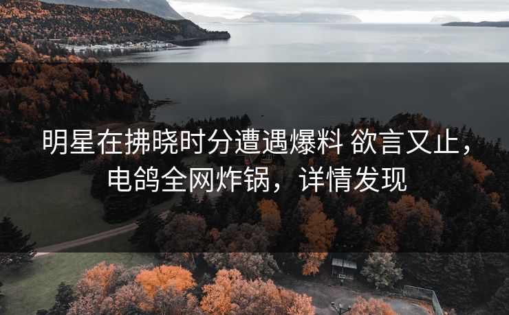 明星在拂晓时分遭遇爆料 欲言又止，电鸽全网炸锅，详情发现